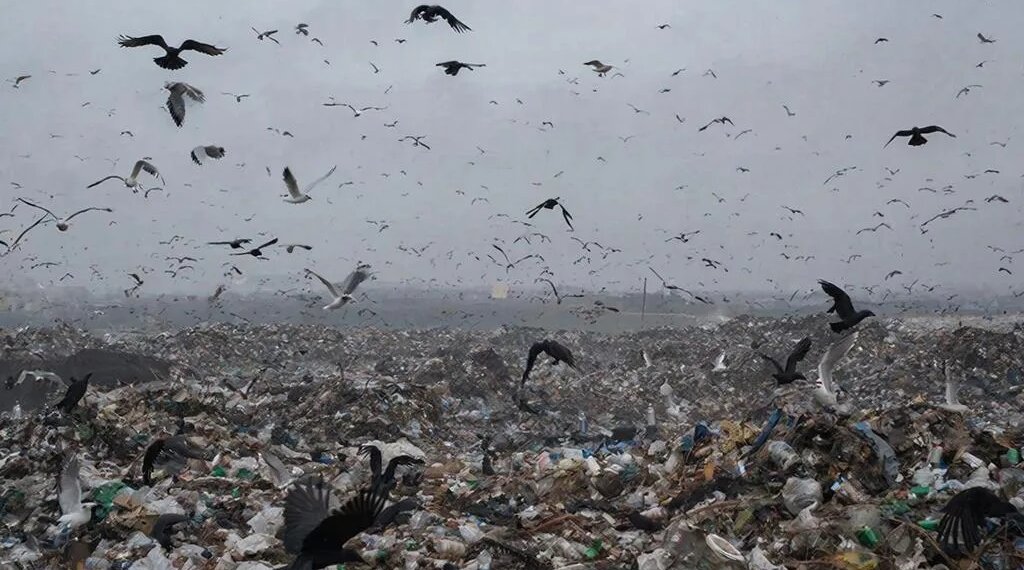 «Учитывая горький опыт»: депутаты новосибирского заксобрания обсудили новую концессию в регионе