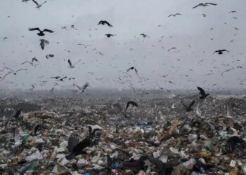 «Учитывая горький опыт»: депутаты новосибирского заксобрания обсудили новую концессию в регионе