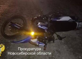 Без фонарей и на встречке: смертельное ДТП с повозкой закончилось приговором