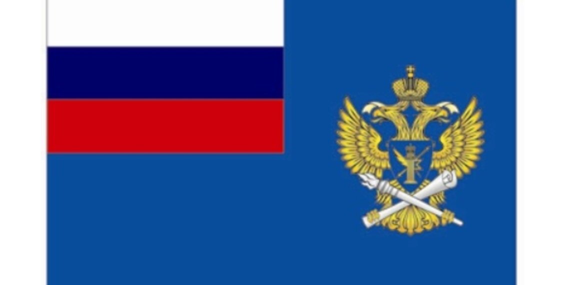 Роскомнадзор отразил более двух тысяч DDoS-атак за февраль: мощность достигала 1,2 Тбит/с