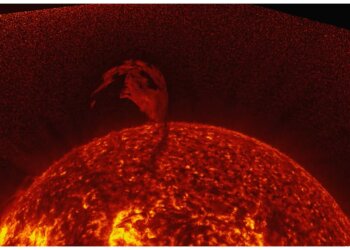 На Солнце зафиксировали гигантский протуберанец размером в миллион километров