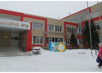 В новосибирской гимназии откроют класс для будущих инженеров и айтишников