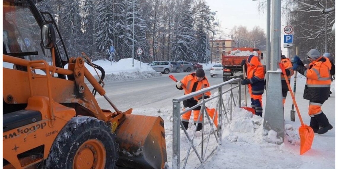 Мэрия Новосибирска взыщет ущерб с подрядчиков за повреждённые газоны