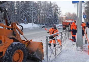 Мэрия Новосибирска взыщет ущерб с подрядчиков за повреждённые газоны