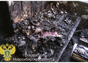 Жительницу Новосибирской области отправили в колонию за убийство знакомой