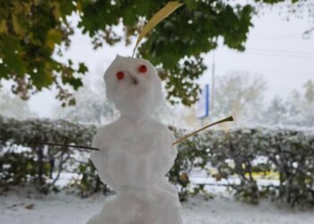 МЧС предостерегает новосибирцев: на выходных выпадет тяжёлый мокрый снег