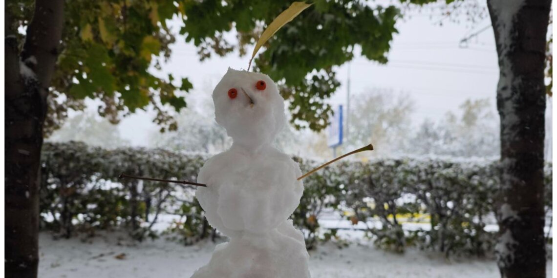 МЧС предостерегает новосибирцев: на выходных выпадет тяжёлый мокрый снег