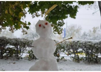 В Новосибирске научили нейросеть искать сосульки и сугробы