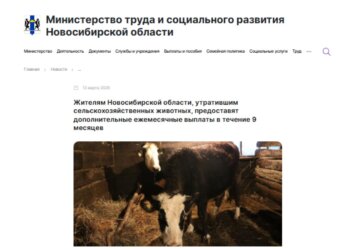 Жителям Новосибирской области помогут материально после изъятия скота