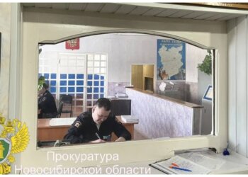 Жительницу Новосибирской области будут судить за ложный донос на сожителя