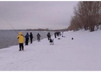 За выезд на лёд за зиму в Новосибирске составили 160 протоколов