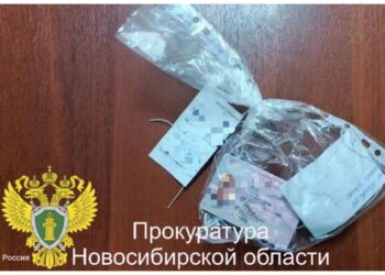 Права «из интернета» довели до суда: водителя поймали с подделкой