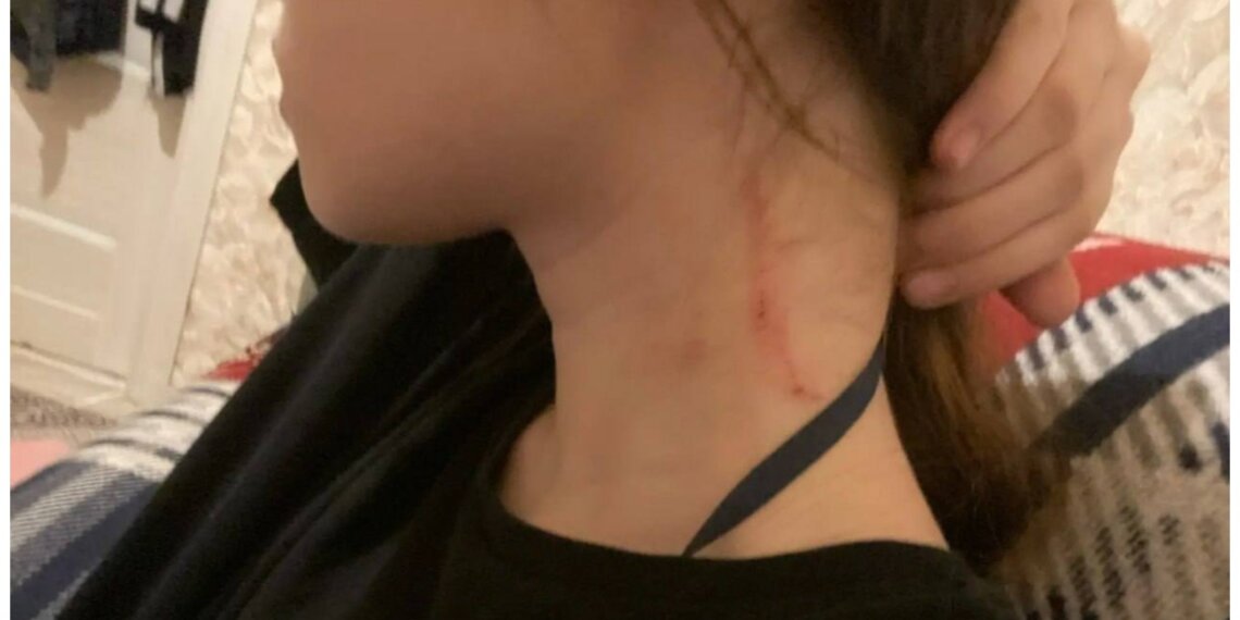 Локальный тг-канал раскрыл подробности нападения на девочку в ТРЦ