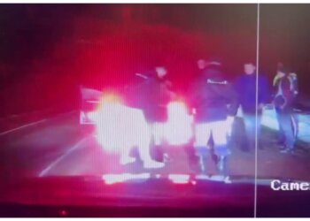 Погоня со стрельбой: в Новосибирской области задержали группу аферистов