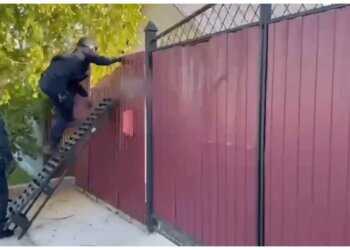 В Красноярске адвокат и её сообщница пойдут под суд за схему с мигрантами