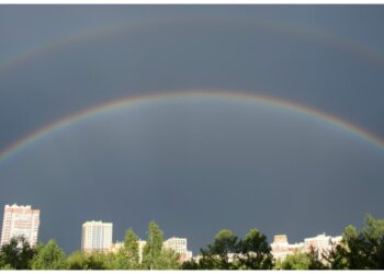 Чистый воздух — редкость: лишь 14% городов мира соответствуют нормам