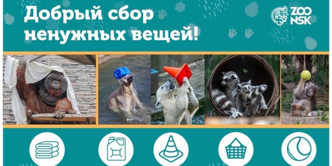 Новосибирский зоопарк приглашает на сбор вещей для животных в эту субботу