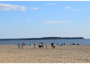 Госдума взялась за гидов и пляжи: что изменится с сентября 2026 года