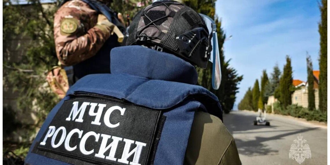 Для рыбаков и грибников: МЧС напоминает о приложении для смартфона