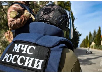 Для рыбаков и грибников: МЧС напоминает о приложении для смартфона