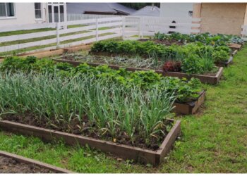 Аграрии, ликуйте: производство удобрений прибавило 4% за месяц