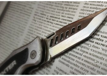 Зарезала во время застолья: жительница из Новосибирска пойдет под суд за убийство знакомого