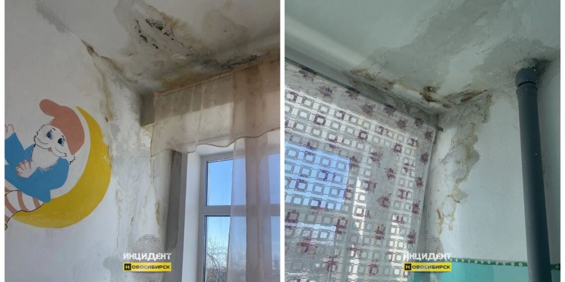Детсад заливает водой и плесенью — СК заинтересовался ситуацией под Новосибирском
