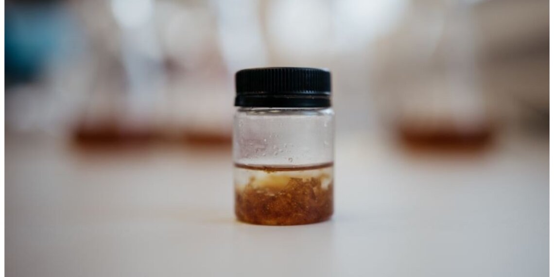 Добавку для спортпита придумали в Новосибирске — обещают минус холестерин