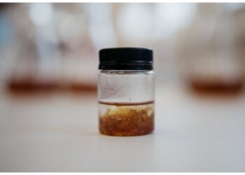 Добавку для спортпита придумали в Новосибирске — обещают минус холестерин