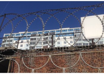 Продал за 10 тысяч — получил 10 лет: новосибирца отправили в колонию за наркотики