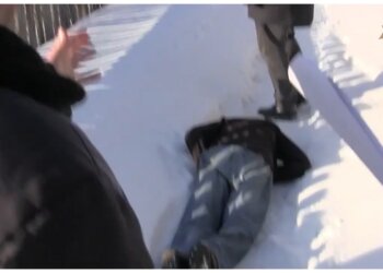 Убил ради меха: в Красноярском крае раскрыли убийство 20-летней давности