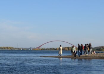 Дачников Нижней Ельцовки готовы принять в школе при угрозе паводка