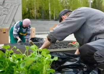 В Новосибирске ко Дню Победы высадят 5 тысяч многолетников