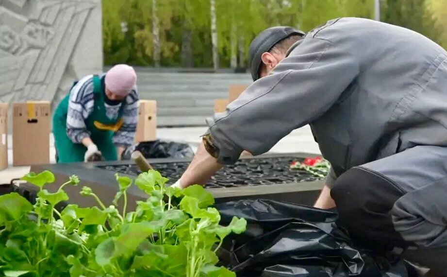 В Новосибирске ко Дню Победы высадят 5 тысяч многолетников