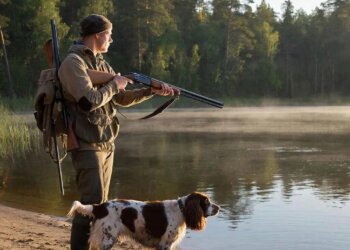 Готовим ружья: новосибирцам назвали сроки весеннего сезона охоты на селезней