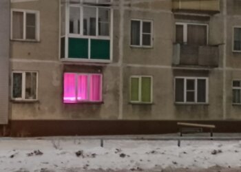 Что сажать на рассаду в апреле: полный гид для дачников Новосибирска