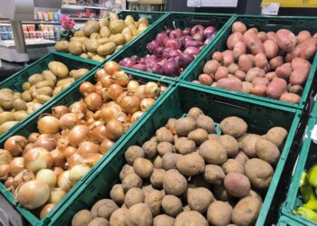 Овощи и колбаса стали лидерами подорожания в Новосибирске в феврале