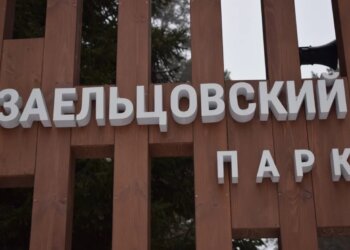 В Новосибирске запретили «покатушки» на мотоциклах и снегоходах по территории Заельцовского бора