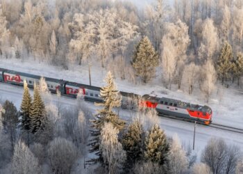Поезд Новосибирск-Белгород остановился посреди перегона: прокуратура начала проверку