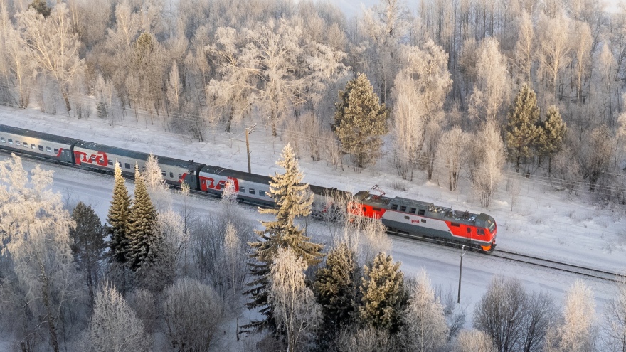 Поезд Новосибирск-Белгород остановился посреди перегона: прокуратура начала проверку