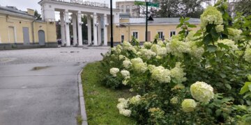 Ни копейки за культуру: пять бесплатных событий на выходных в Новосибирске