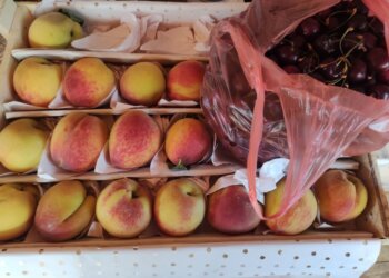 Почти 50 тонн незаконной еды изъяли у торговцев в Новосибирске