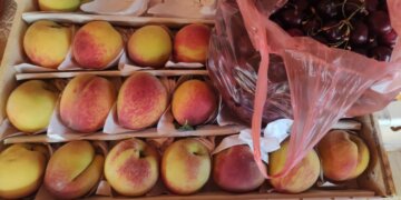 Почти 50 тонн незаконной еды изъяли у торговцев в Новосибирске