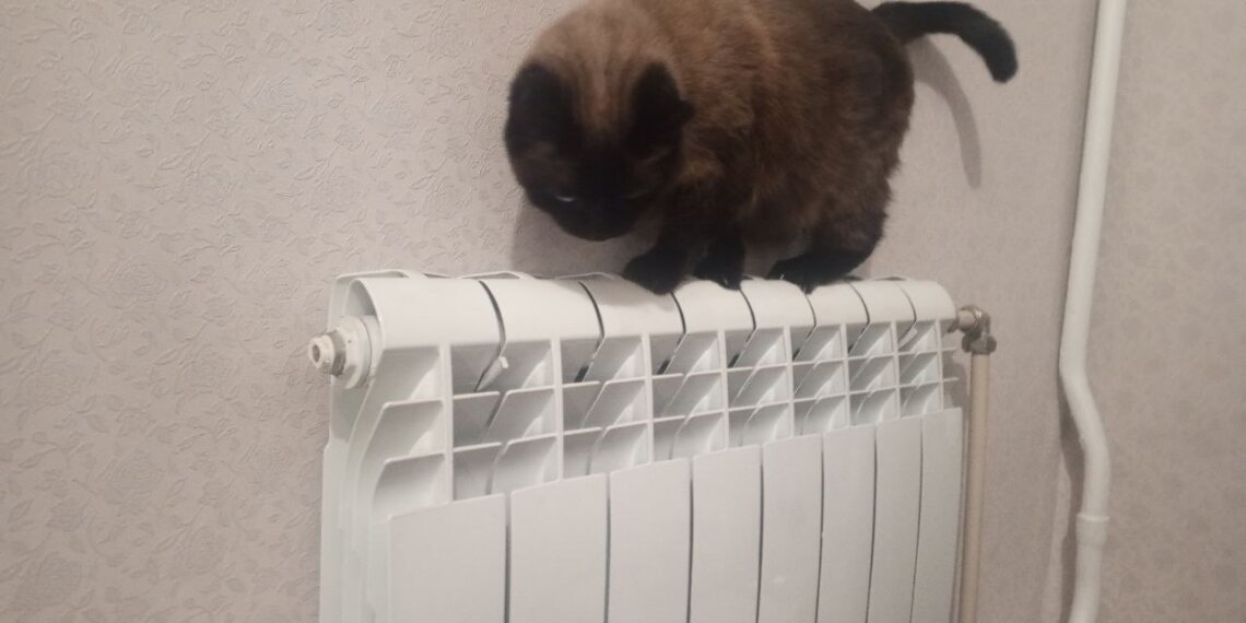 Жителям многоэтажки в Болотном пересчитали плату за тепло: переплата составила 129 тысяч рублей