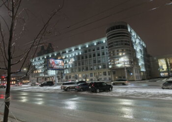 Правительство НСО утвердило размер компенсации за изъятие домашнего скота