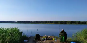 В реке Обь в Новосибирской области нашли опасные инвазивные виды рыб