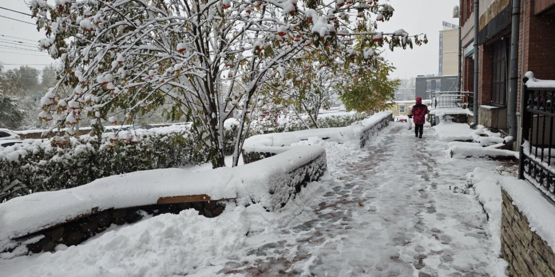 МЧС предупредило о штормовом ветре до 25 м/с: в Новосибирской области продлен режим повышенной готовности