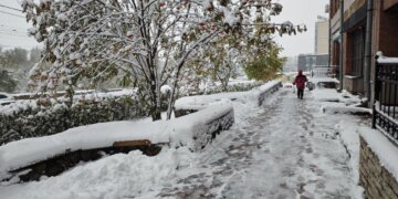 МЧС предупредило о штормовом ветре до 25 м/с: в Новосибирской области продлен режим повышенной готовности