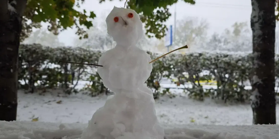 Когда в Новосибирск придёт стабильное тепло, рассказали синоптики