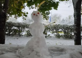 Когда в Новосибирск придёт стабильное тепло, рассказали синоптики